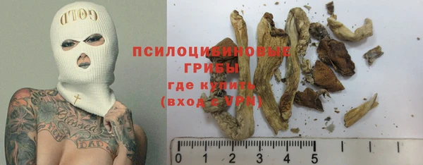 гидра Баксан
